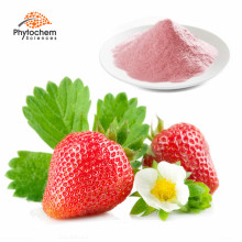 soluble instant strawberry fruit juice flavour organic strawberry powder